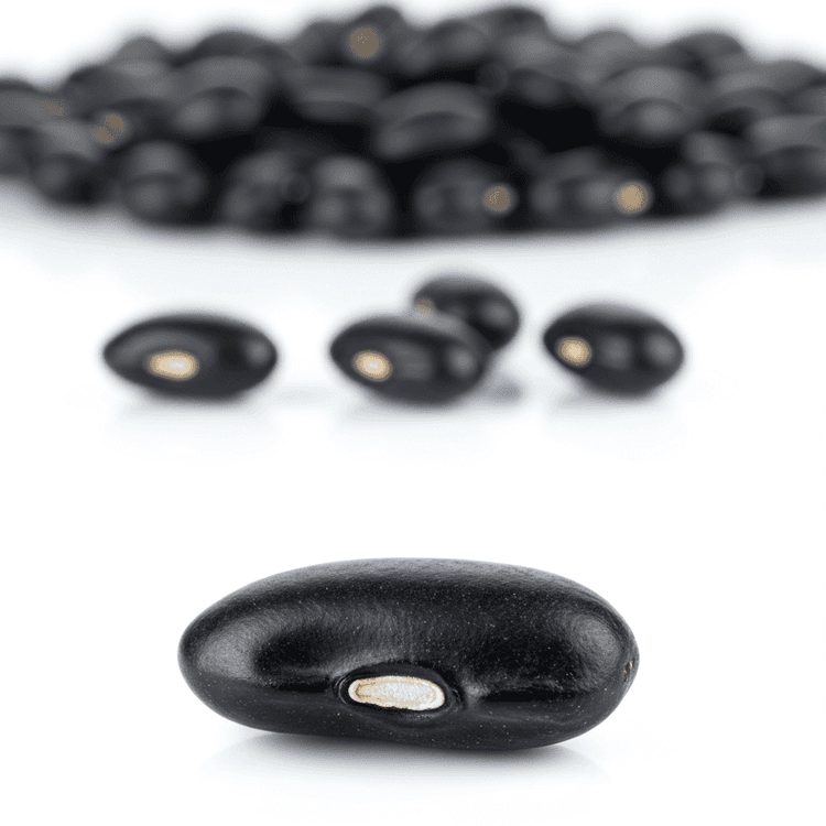 black bean