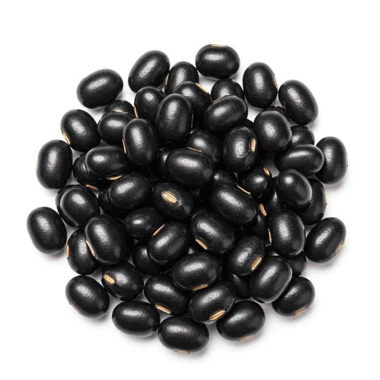 black bean sauce