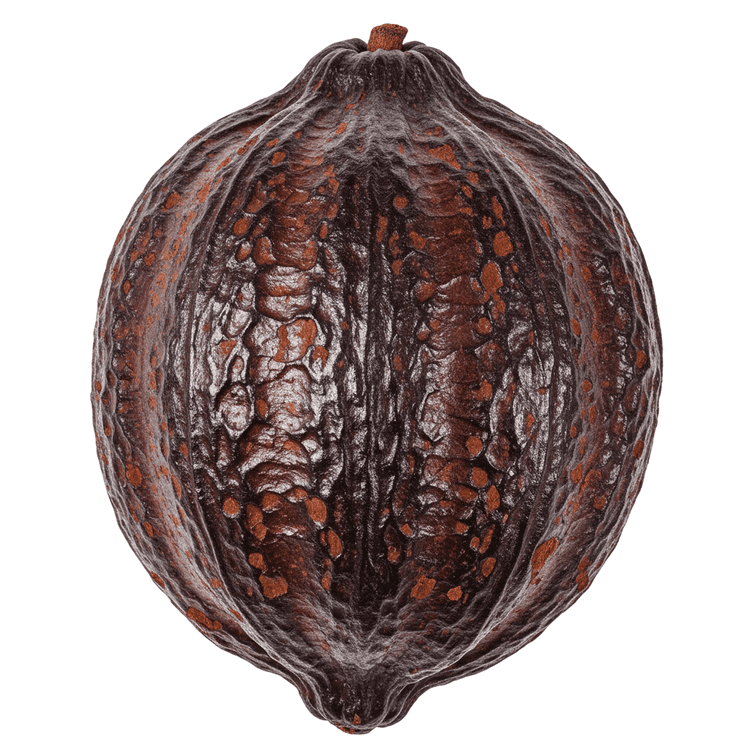 Black Cocoa Powder