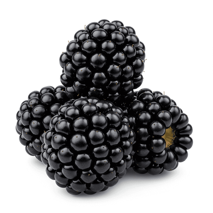 blackberry