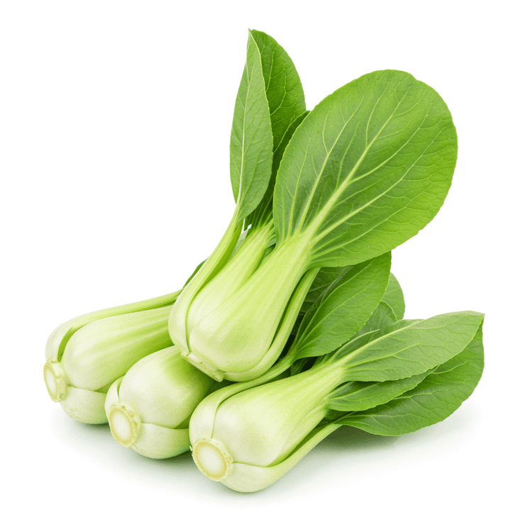 Bok Choy
