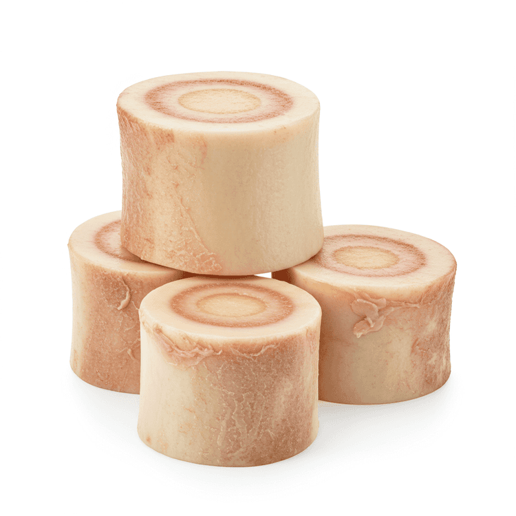 Bone Marrow