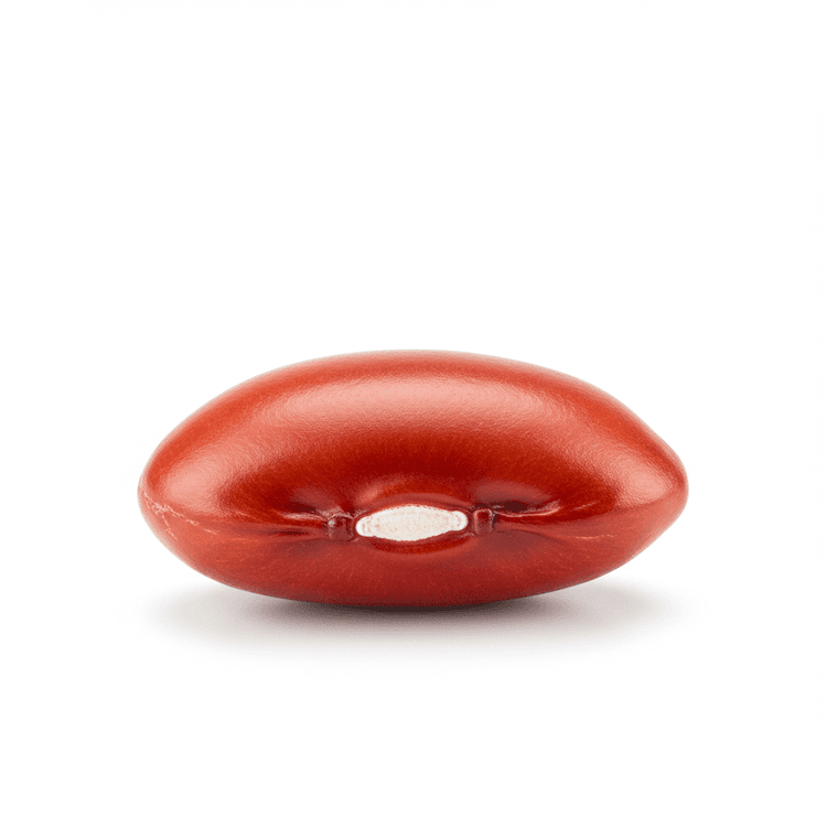 borlotti bean