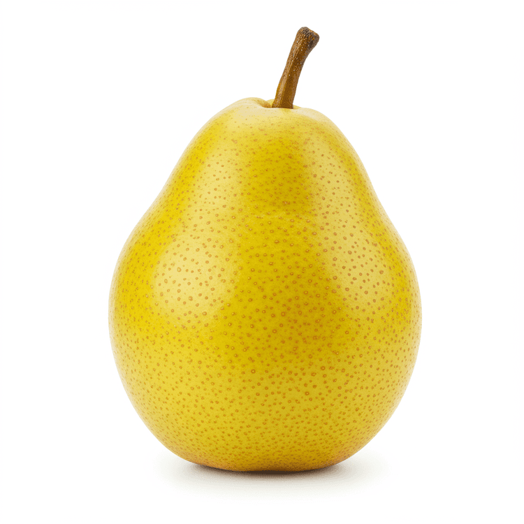 bosc pear