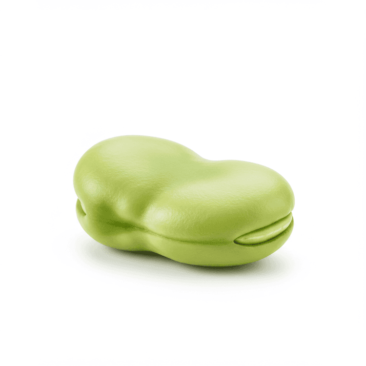 Broad Bean