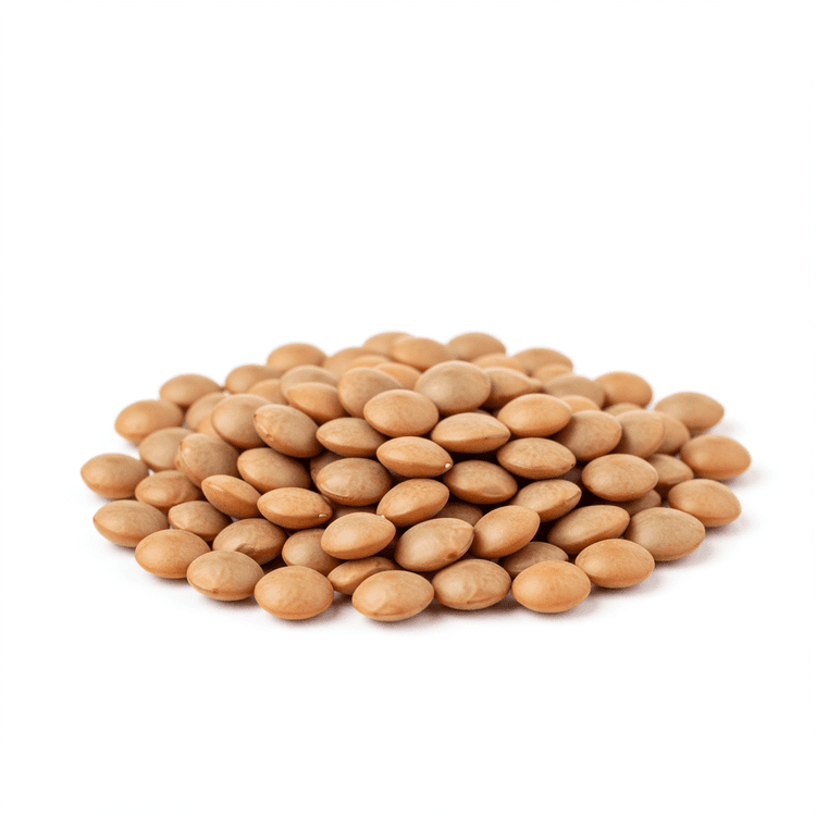 brown lentil