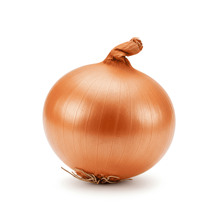 Brown Onion
Generic Name: Onion
