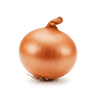 Brown Onion
