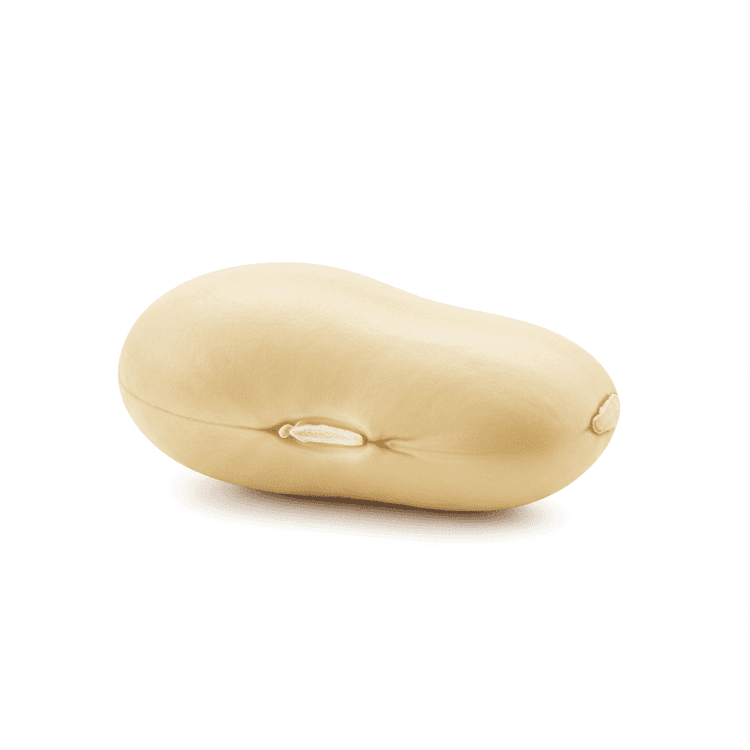 butter bean