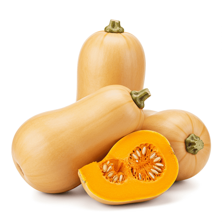 butternut squash