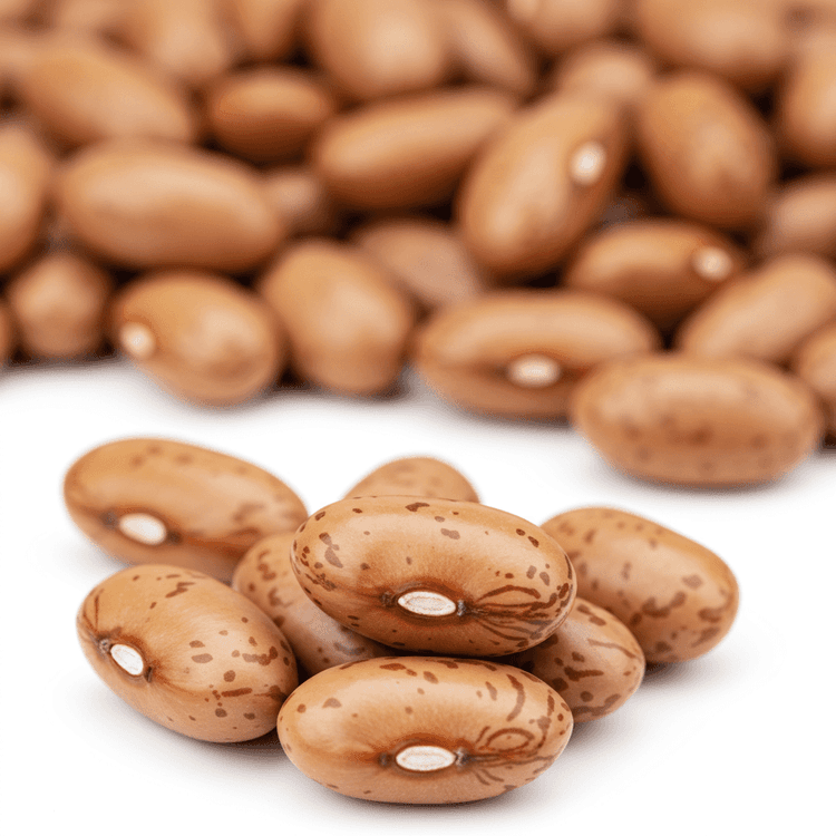 canned pinto bean