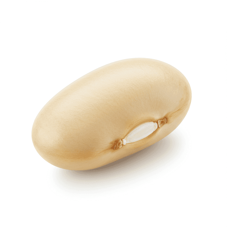 Cannelini Bean