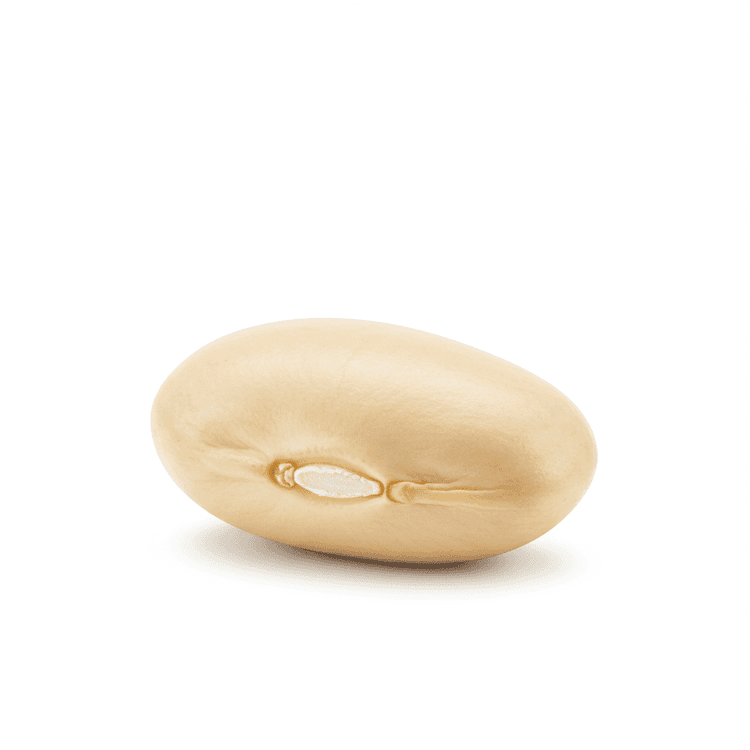 cannellini bean