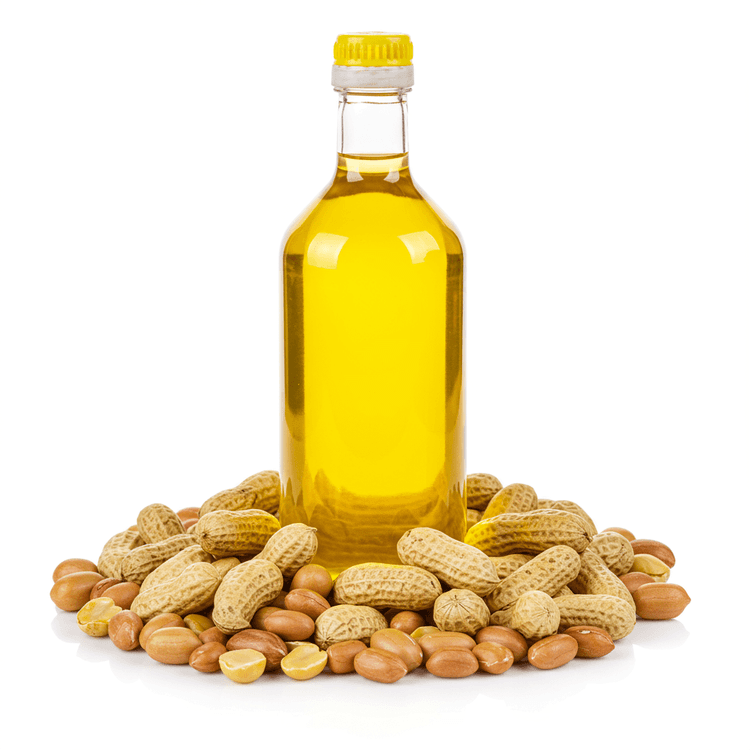 canola oil