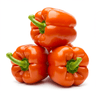 Chopped capsicum