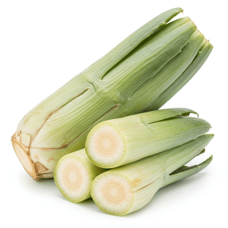 cardoon