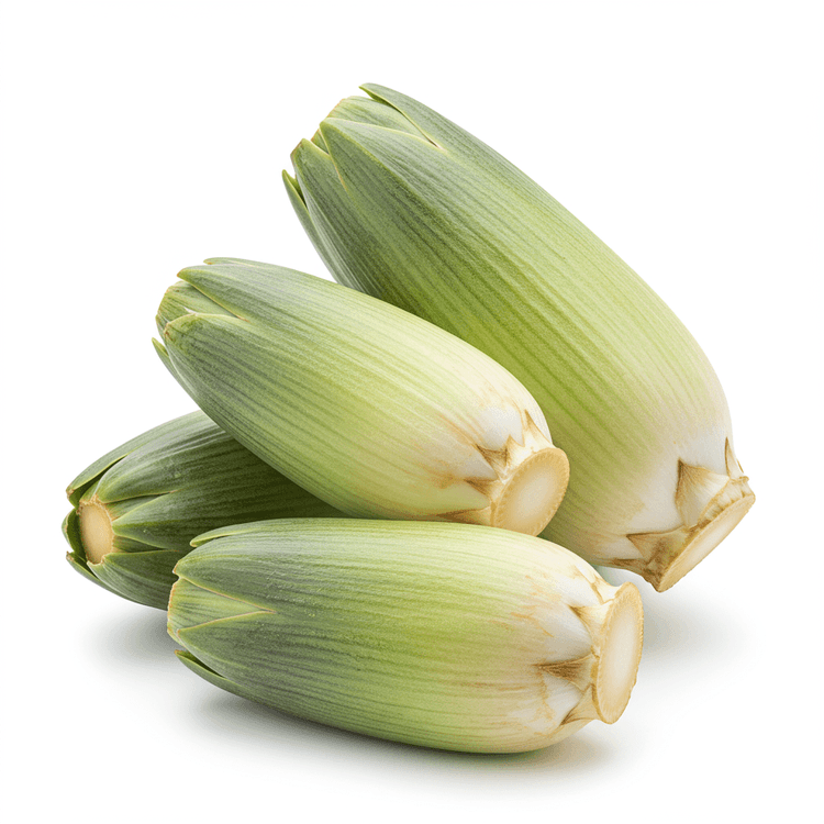 cardoon