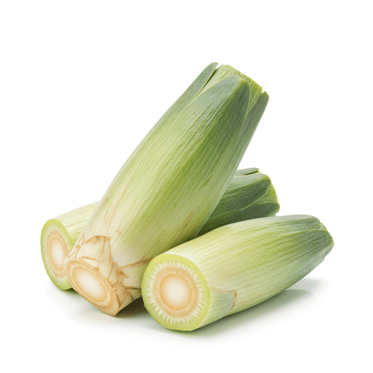 cardoon
