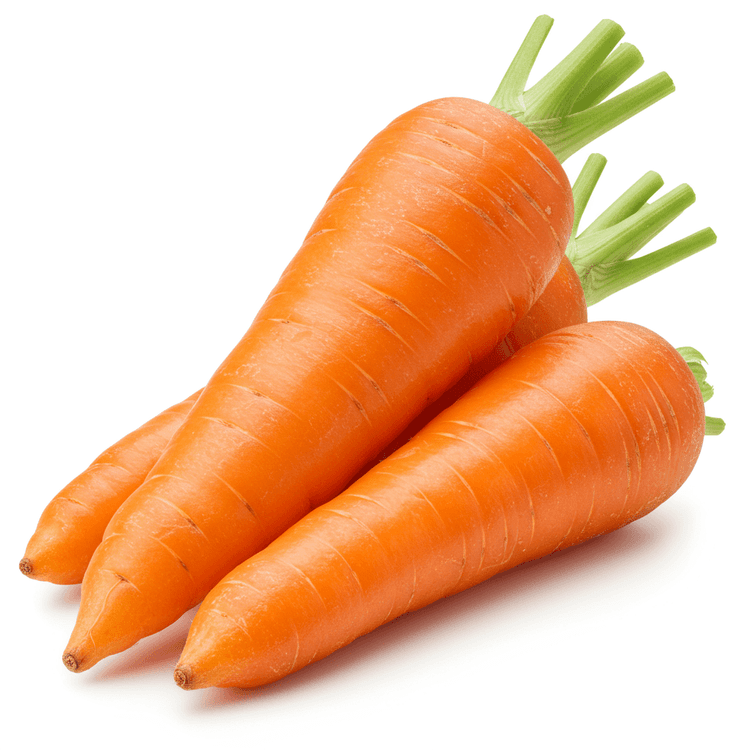 carrot