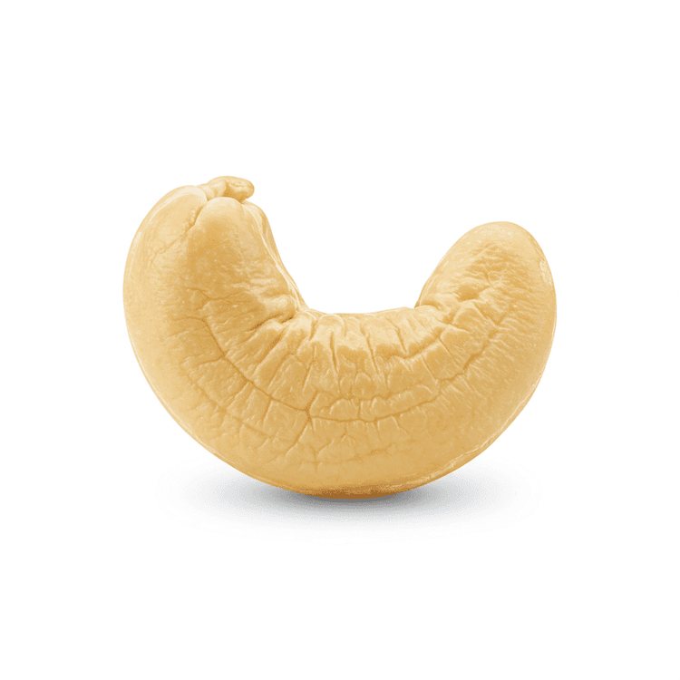 Cashew