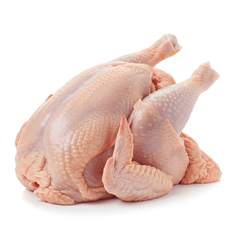 chicken