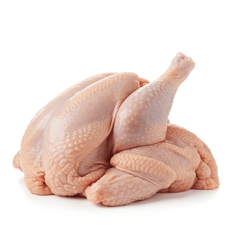 chicken