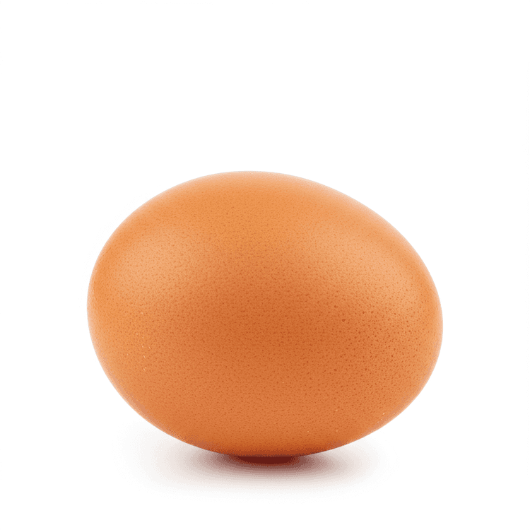 chicken egg