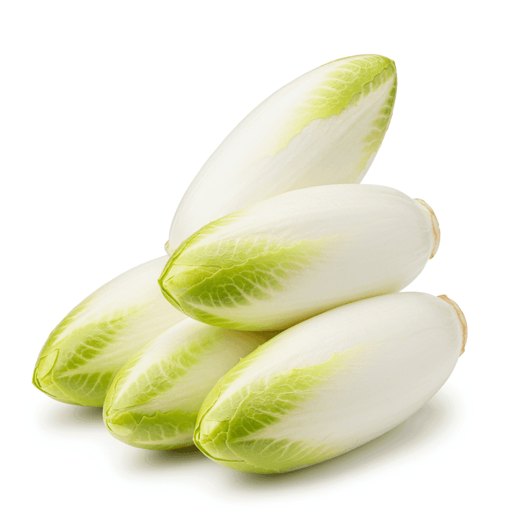 Chicory