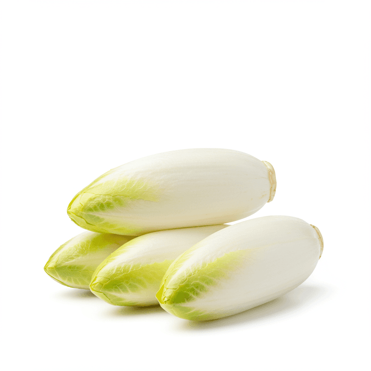 Chicory