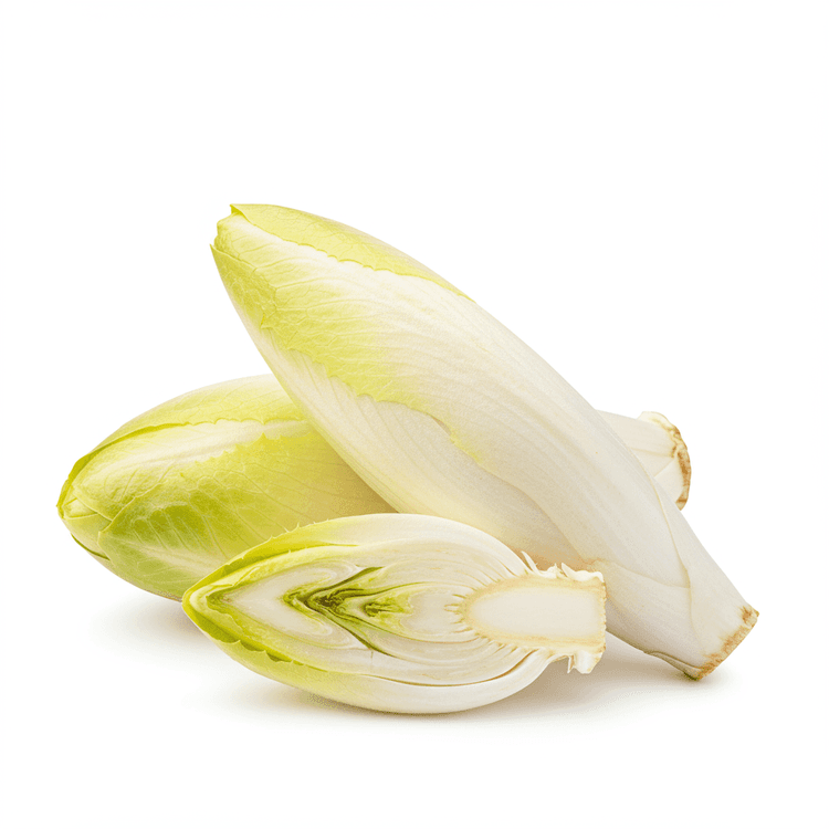 chicory root