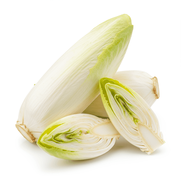 chicory root