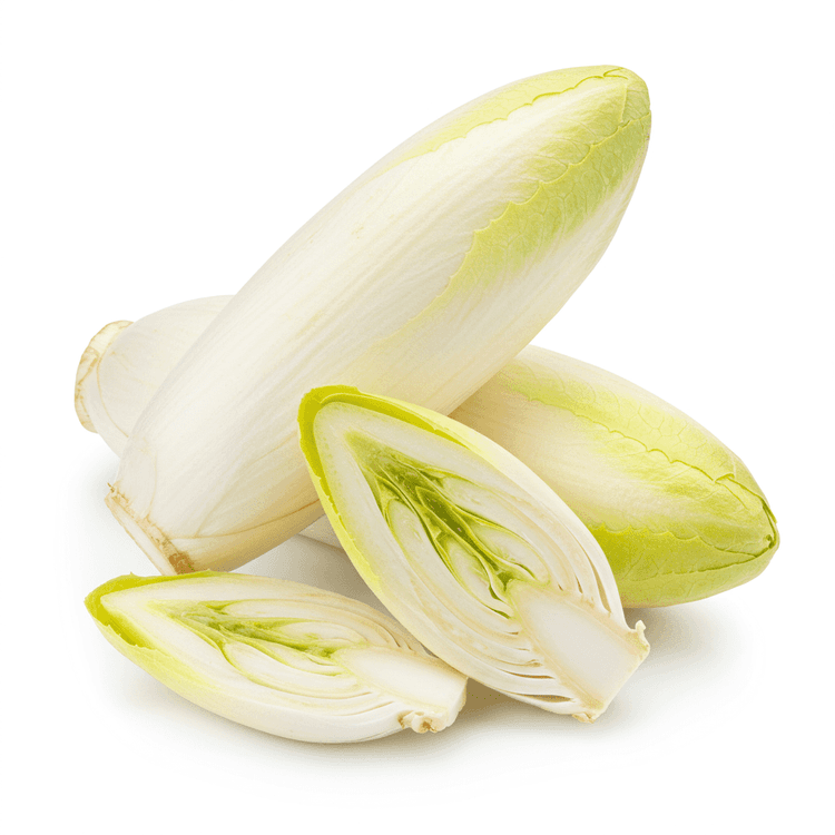 Chicory Root