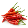 poblano chili peppers poblano chili peppers