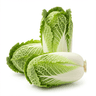 head Akusai (Chinese cabbage)