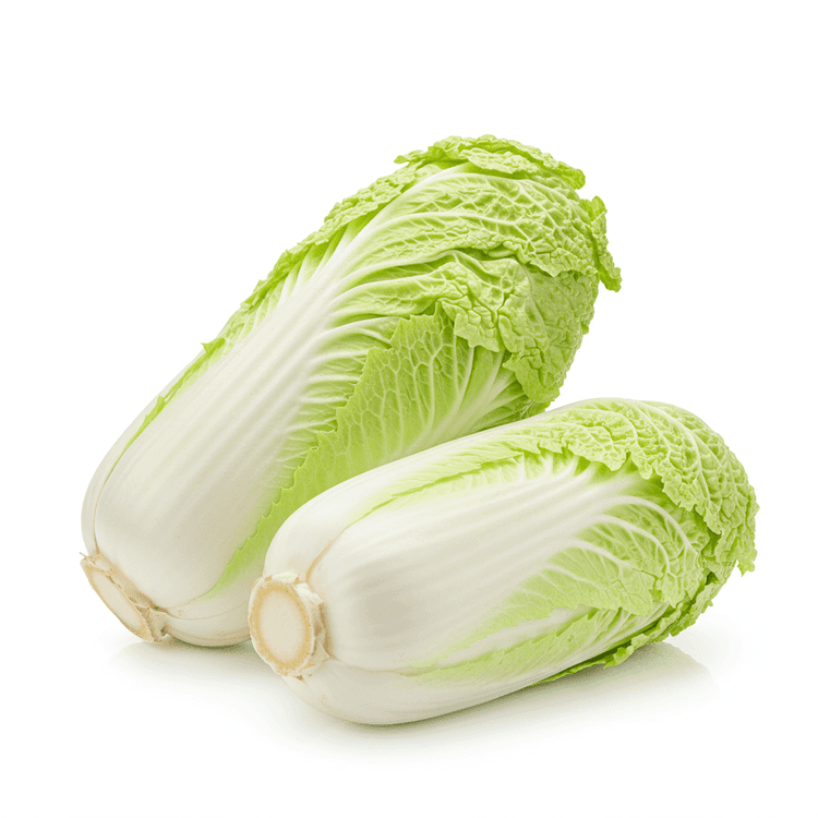 chinese cabbage