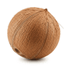 shredded unsweetened coconut
