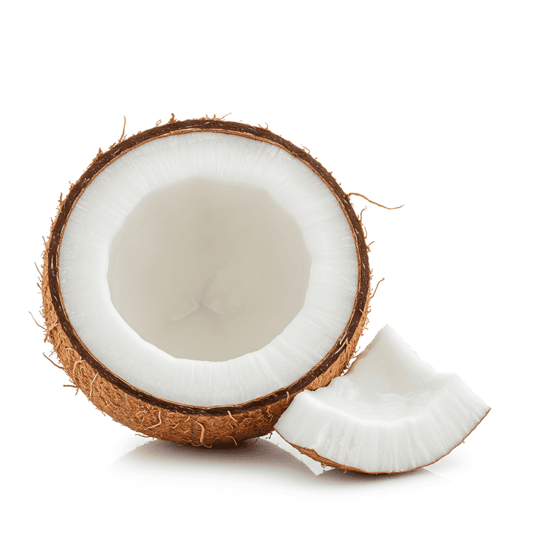 coconut milk