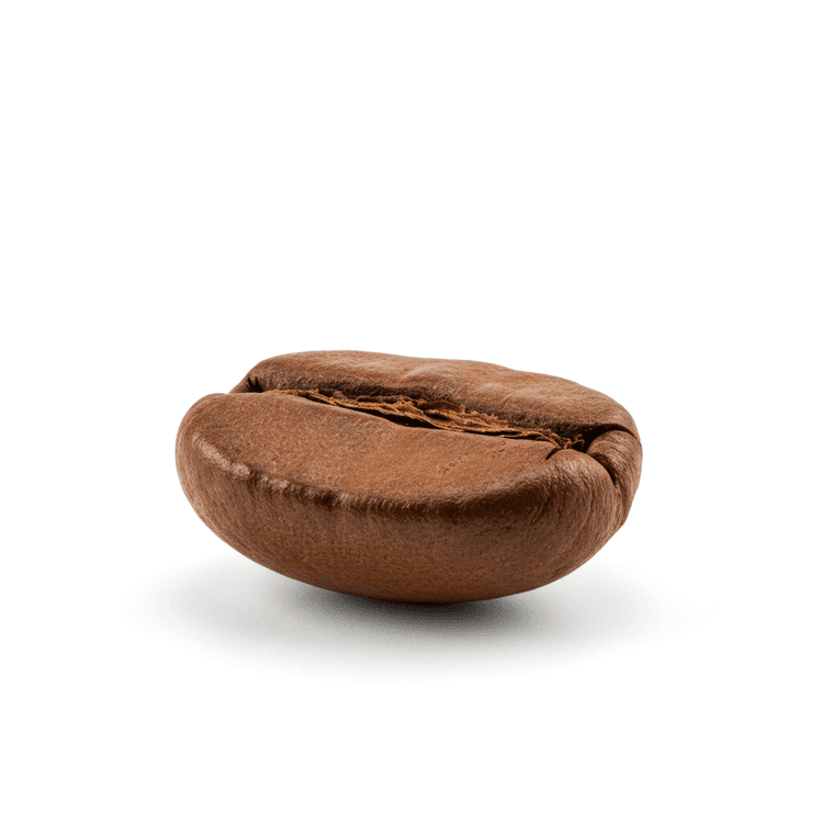 coffee bean