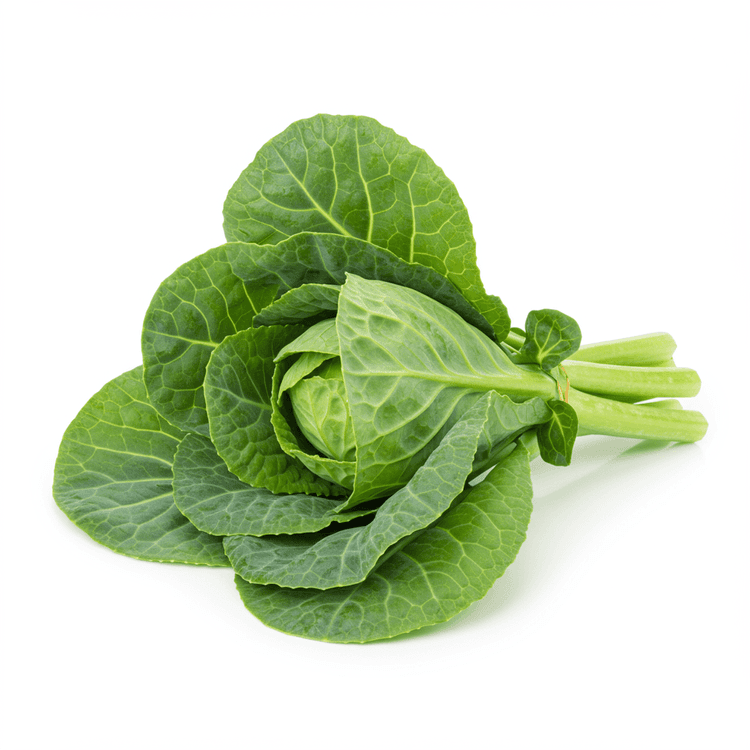 Collard Green