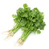 Coriander leaves