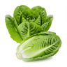 Cos lettuce