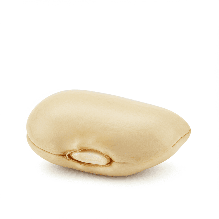 cowpea bean