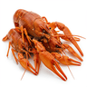 crawfish tails