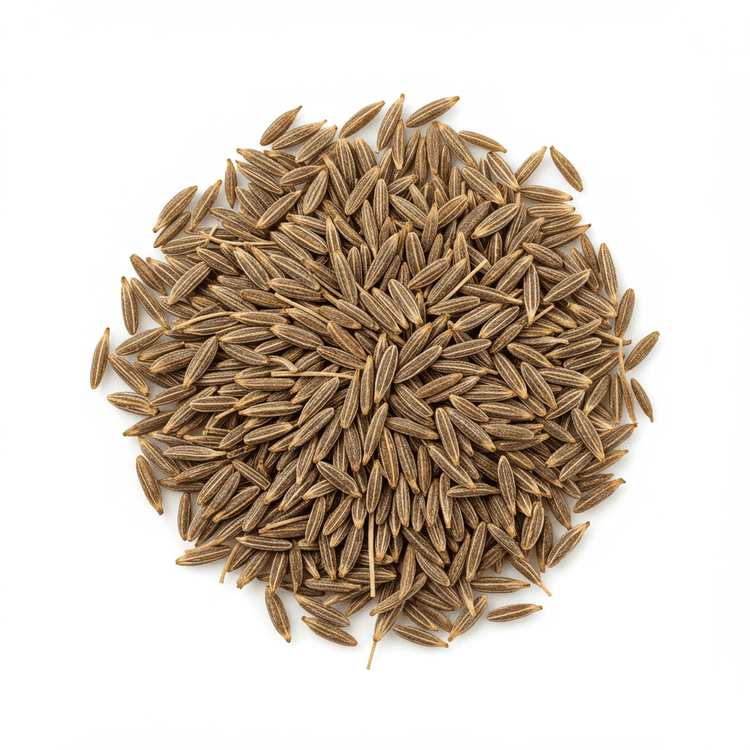cumin seed