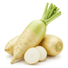 white radish