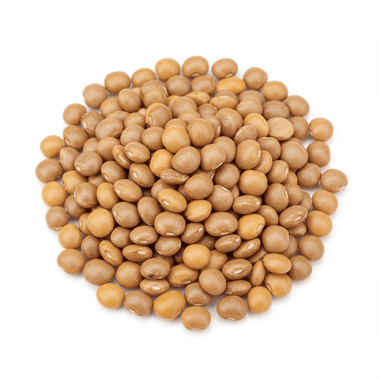 Dal