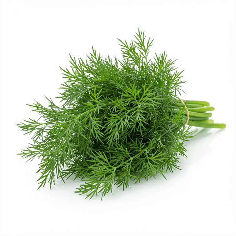 dill