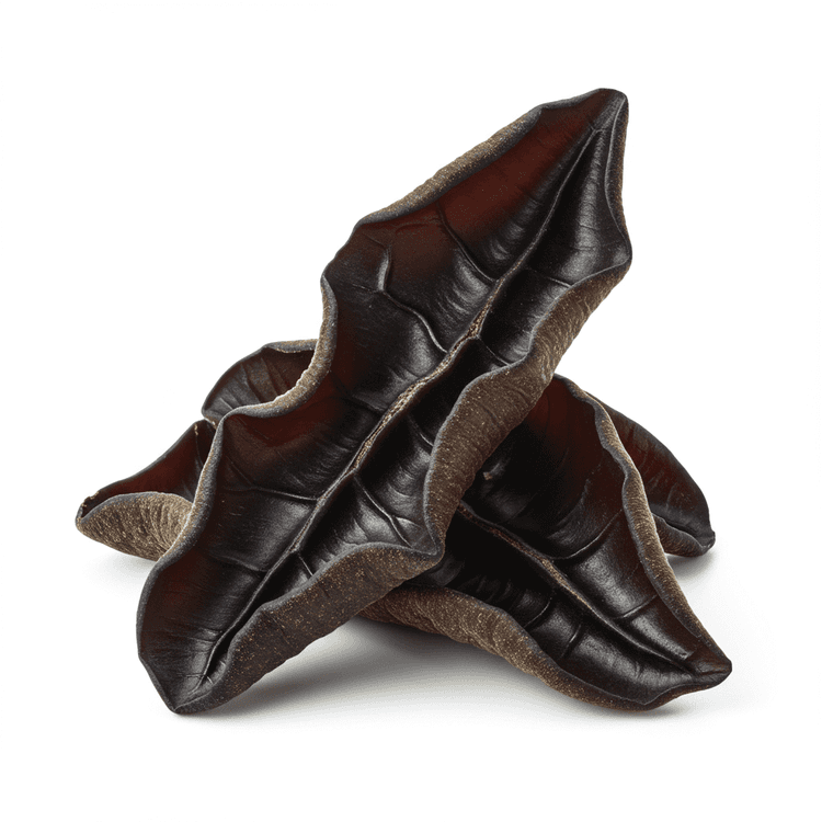 dried black fungus
