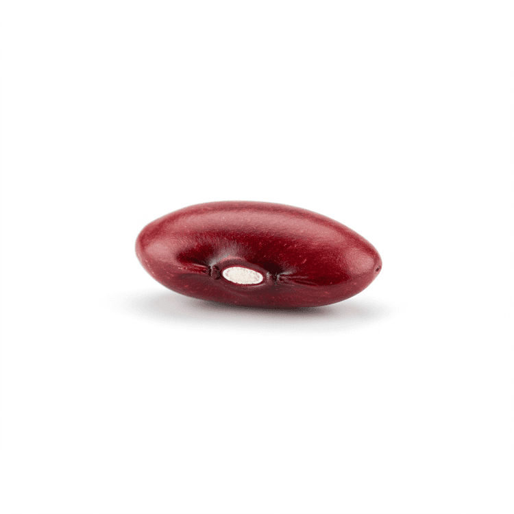 dried kidney bean