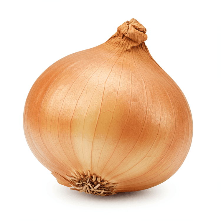 Dried Onion